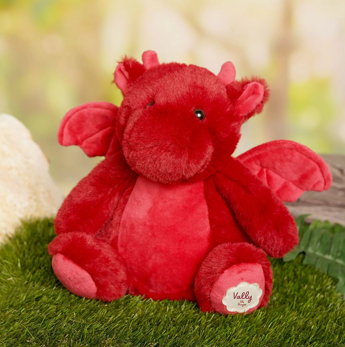 Vally the Red Dragon