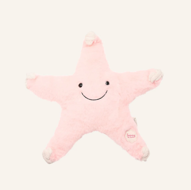 Sammy the Starfish