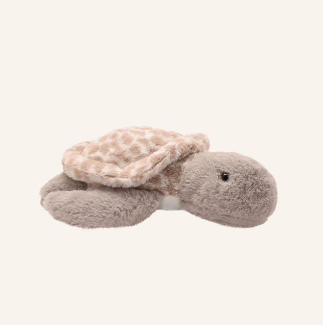 Toby the Turtle