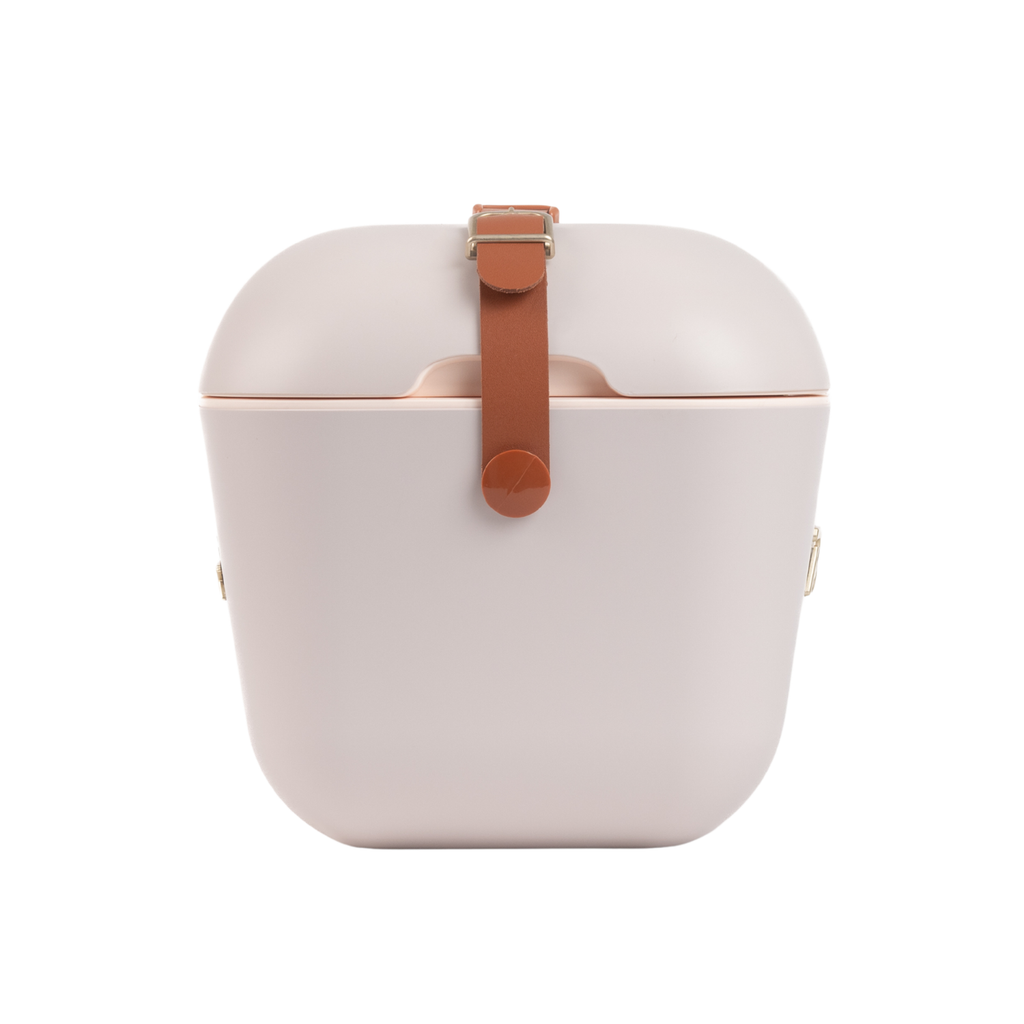 Retro Coolbox - Pearl Gold Classic Polarbox
